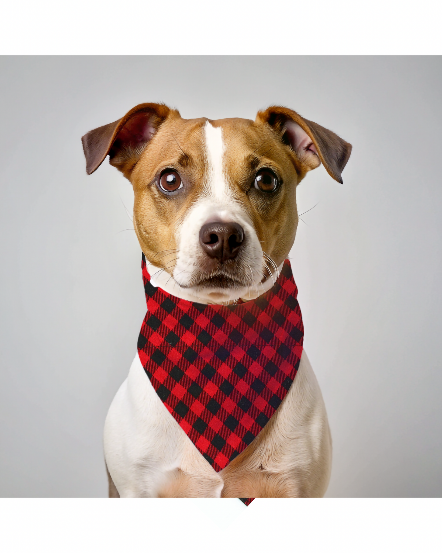 Christmas dog bandana, red black over the collar dog bandana, red buffalo plaid dog collar on bandana, Holiday bandana, slip on dog bandana