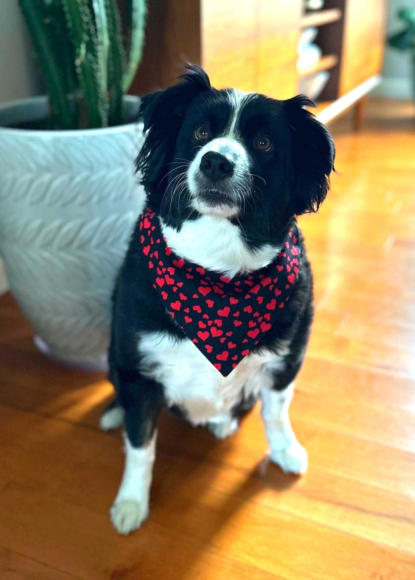 Valentine's Day Dog Bandana, over the collar red hearts bandana for dog, collar on bandana, red black dog bandana, pet lover gift, cute dog